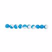 Picture of P2P 10 Count .50 Caliber Blue/White Inert Powder Training & Practice Ammo